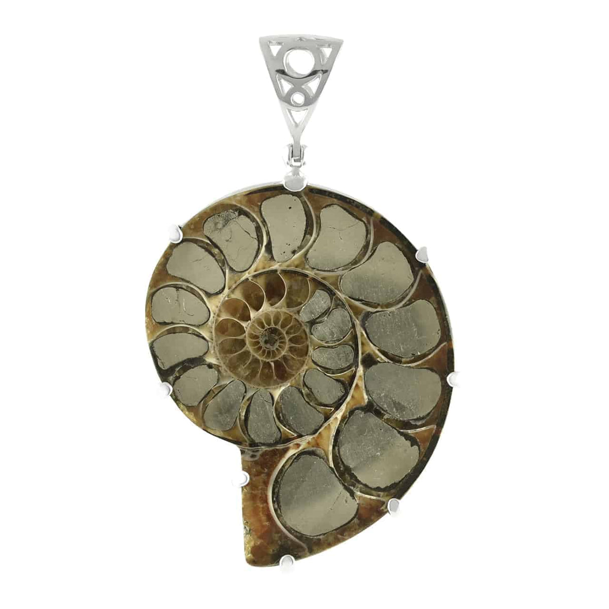 Pyrite inlaid Ammonite Pendant with sterling silver